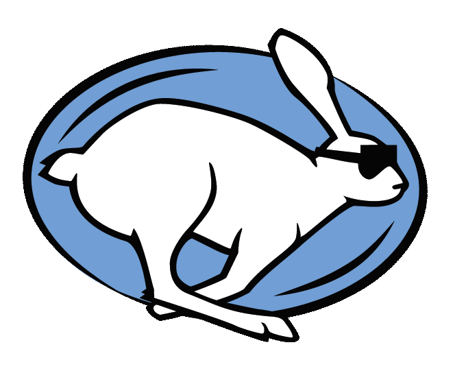 janis logo 2018